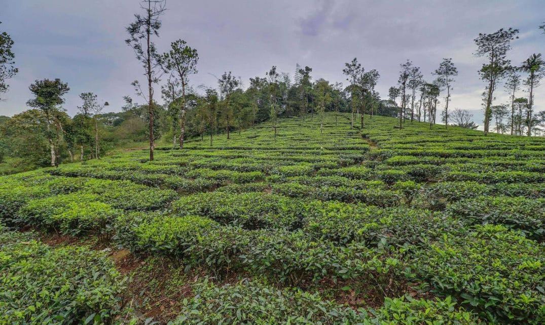 Moss Adams Inn Vagamon Esterno foto