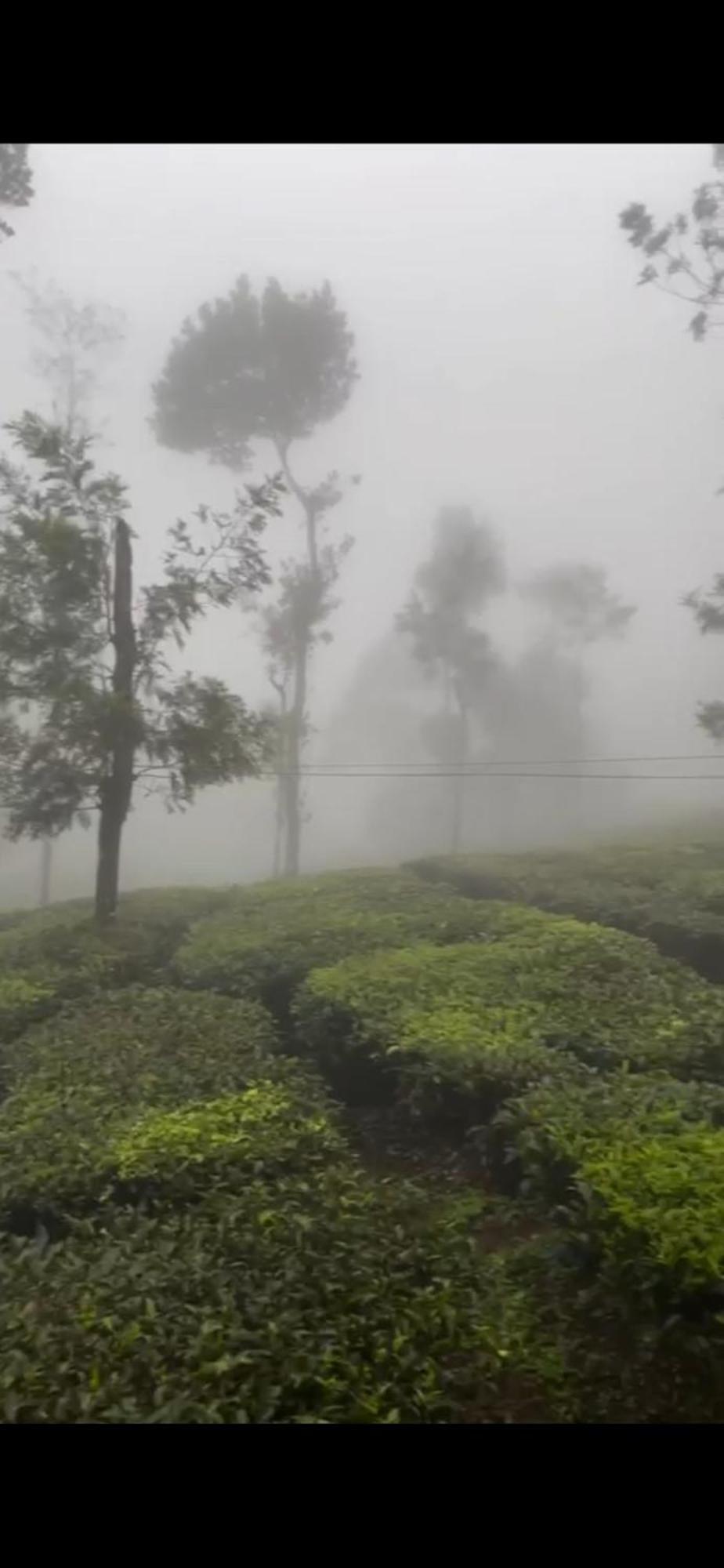 Moss Adams Inn Vagamon Esterno foto